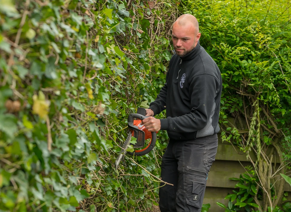 Tuinonderhoudsdiensten