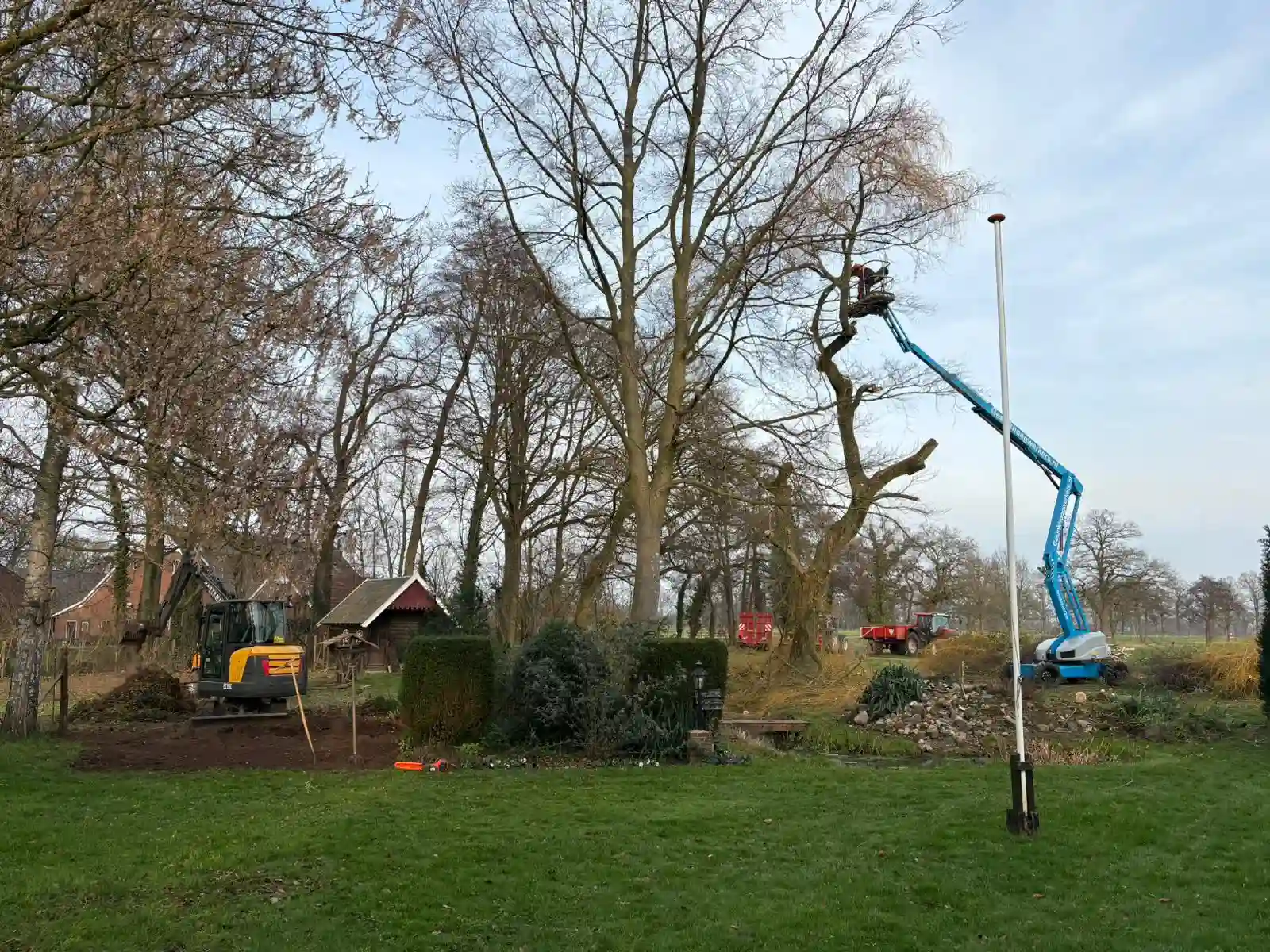 groot onderhoud bomen snoeien